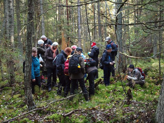 Luontoretkellä METSOn metsässä